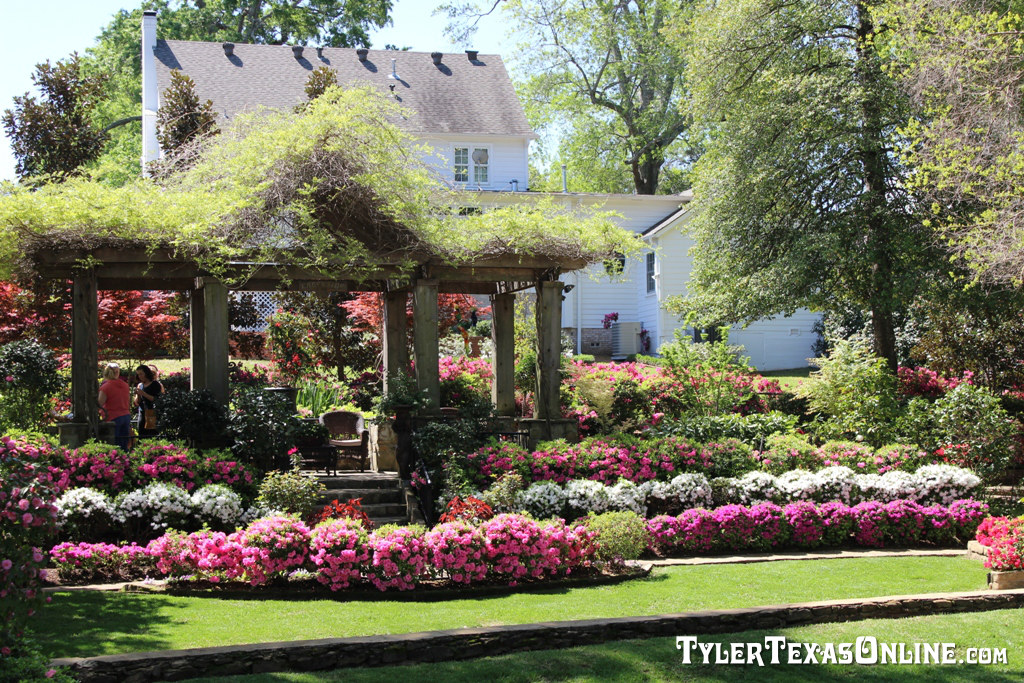 Tyler Azalea and Spring Flower Trails